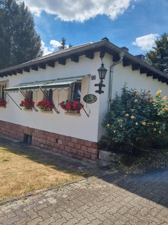 B&B Dressings Traumgarten Kaiserslautern Eksteriør bilde