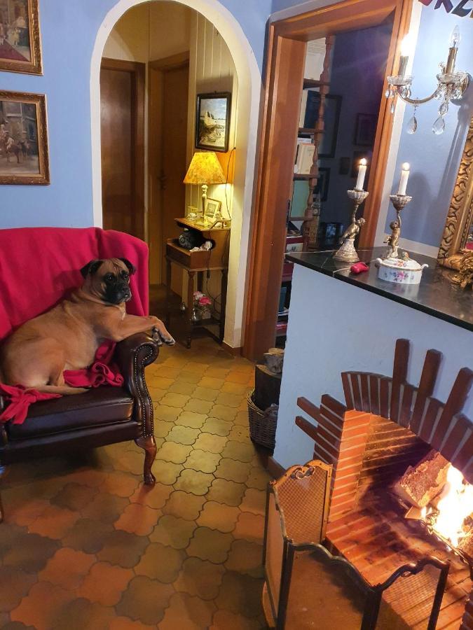 B&B Dressings Traumgarten Kaiserslautern Eksteriør bilde